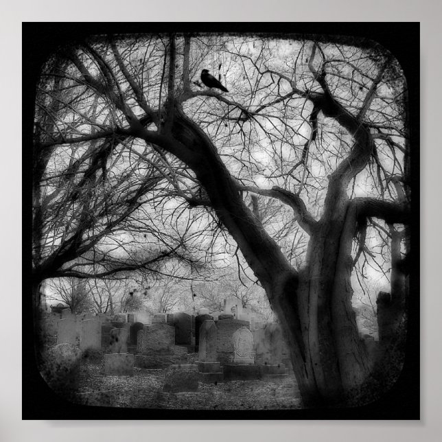 Poster Twisted (Frente)