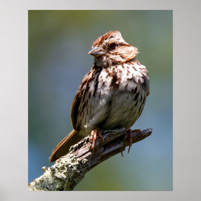 Poster Twisted (Frente)