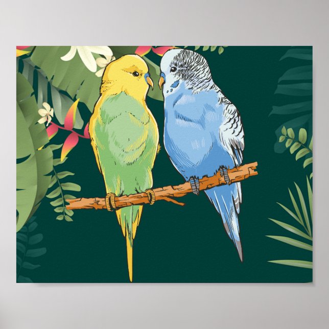 Poster Two cute blue and green Budgies (Frente)