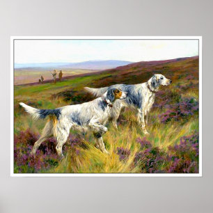 Pôster Two English Setters in a Field - Arthur Wardle