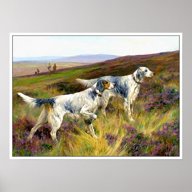 Pôster Two English Setters in a Field - Arthur Wardle (Frente)