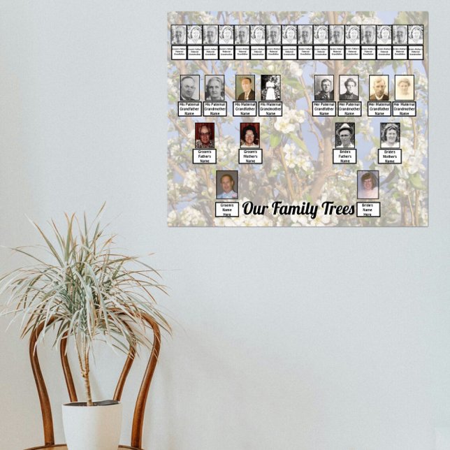 Poster Two Family Trees on White Blossoms Photo     (Criador carregado)