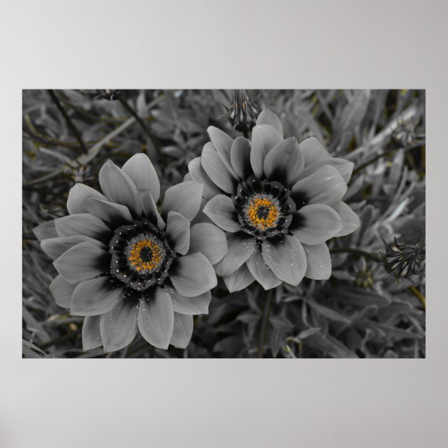 Poster Two of a Kind (Frente)