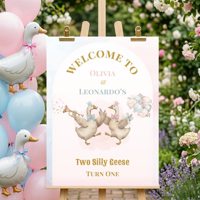 Poster Two Silly Geese Boy & Girl Twins Birthday Welcome (Criador carregado)