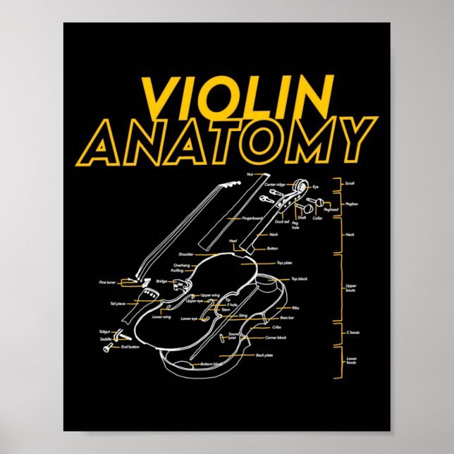 Poster Twoset Violin Violin Anatomy Drawing Diagram Limit (Frente)