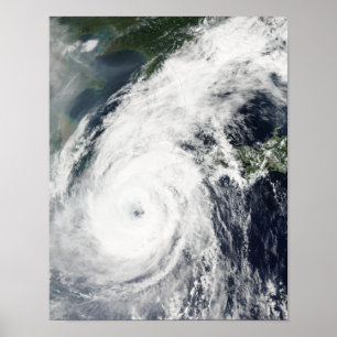 Poster Typhoon Rusa 2