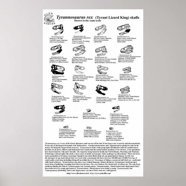 Pôster Tyrannosaurus rex (Frente)