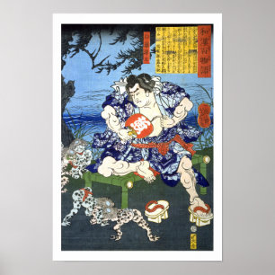 Poster ukiyoe - 和 漢 百 物 n.o 11 - 白 藤 語 源 -