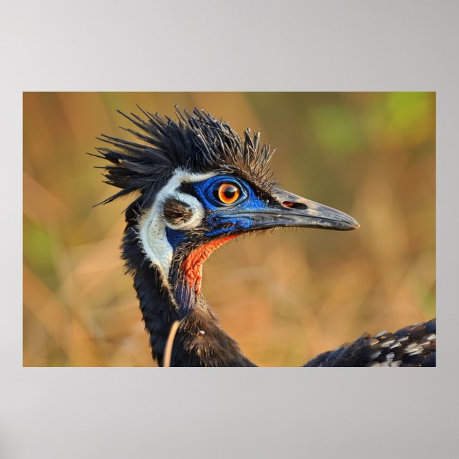 Poster Última Luz dos Prados - Bengala Florenho (Frente)