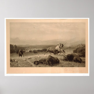 Poster Último de Buffalo Bierstadt (0137A) - Não restaura