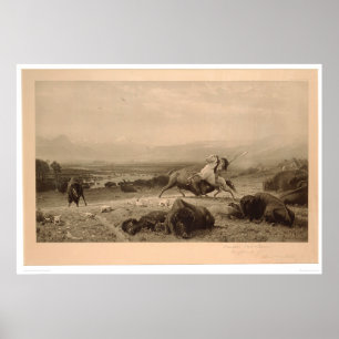 Pôster Último do búfalo Bierstadt (0137A) - restaurado
