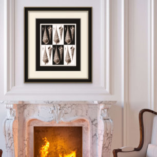 Poster ultra elegante de Shell do mar do art deco