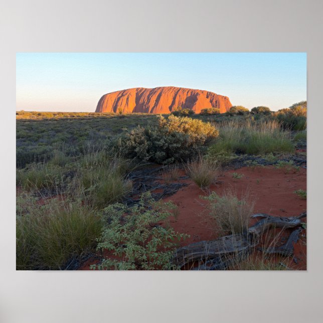 Poster Uluru Sunrise e Flora do Deserto (Frente)