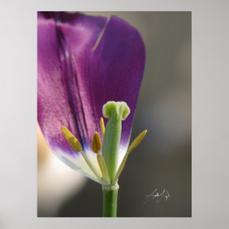 Poster Um à esquerda