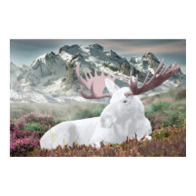 Um alce branco no Montain