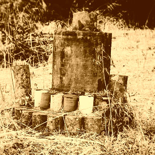 Pôster Um Altar Para A Humanidade