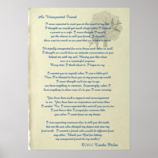 Poster Um Amigo Inesperado ©2012 Trinka Polite (poster)