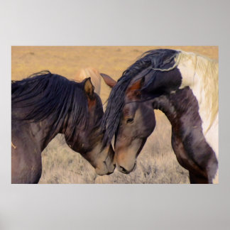 Pôster Um Amor aos Cavalos