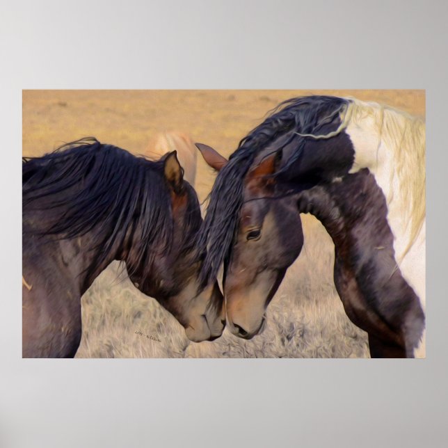 Pôster Um Amor aos Cavalos (Frente)