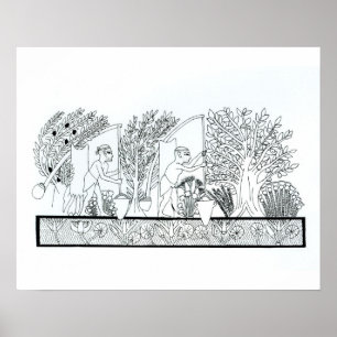 Poster Um antigo jardim egípcio (gravura) (foto b/w)