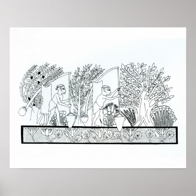 Poster Um antigo jardim egípcio (gravura) (foto b/w) (Frente)