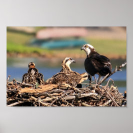 Pôster um assunto familiar