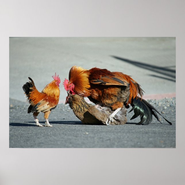 Pôster "Um assunto familiar" (Frente)