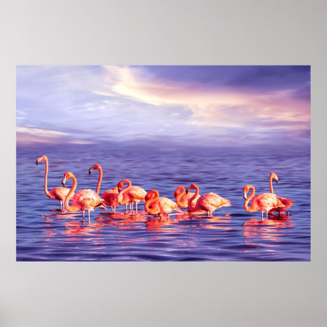 Poster Um bando de belos flamingos cor-de-rosa contra uma (Frente)