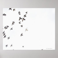 Um bando de pássaros voa no céu