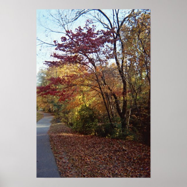 Pôster Um belo porto (Frente)