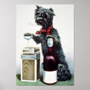 Pôster Um cão alegre