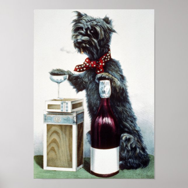 Pôster Um cão alegre (Frente)