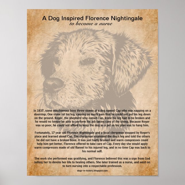 Poster Um cão inspirou Florence Nightingale a ser enferme (Frente)
