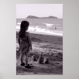 Pôster Um castelo perto do mar