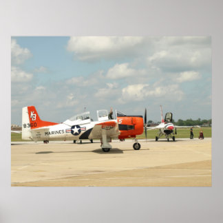 Poster Um Cavaleiro de Troia T-28.