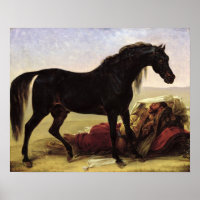 Um Cavalo Árabe