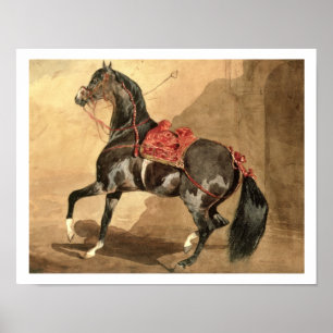 Poster Um cavalo árabe (estabelecido w/c no papel)