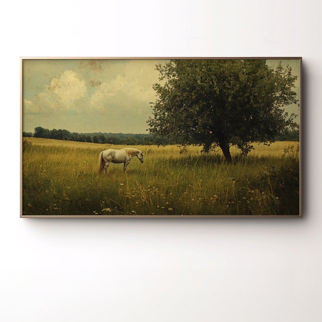 Poster Um Cavalo Branco Pastando Em Um Campo (Criador carregado)