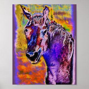 Pôster Um Cavalo de Muitas Cores
