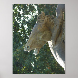 Pôster Um Cavalo-fonte de Plaza