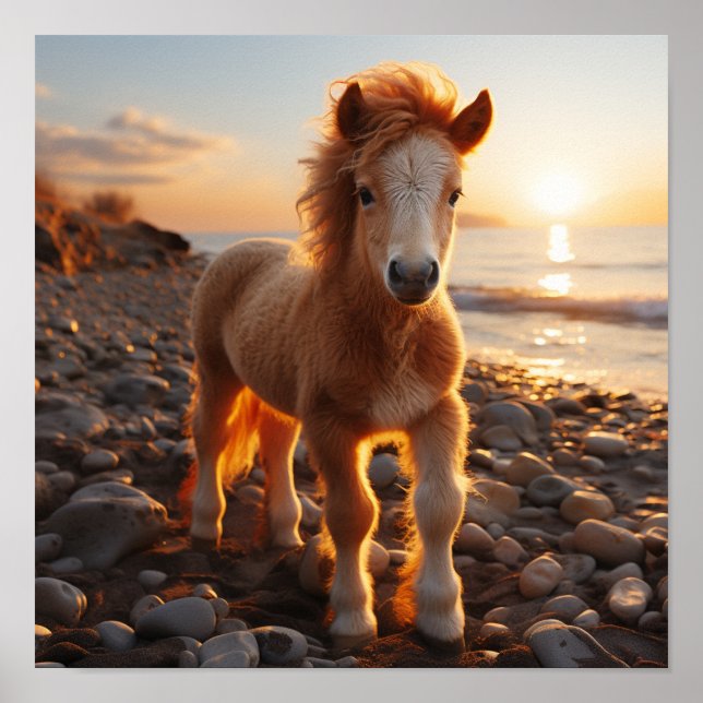 Poster Um cavalo jovem com um homem de coalhada fluente (Frente)