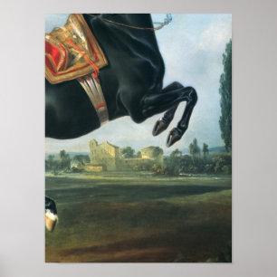 Poster Um cavalo preto que executa o Courbette
