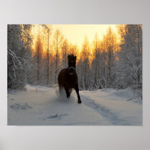 Pôster Um cavalo Running no inverno em Finlandia