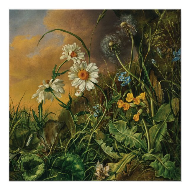 Pôster Um chão de floresta com margaridas, primroses, ... (Frente)