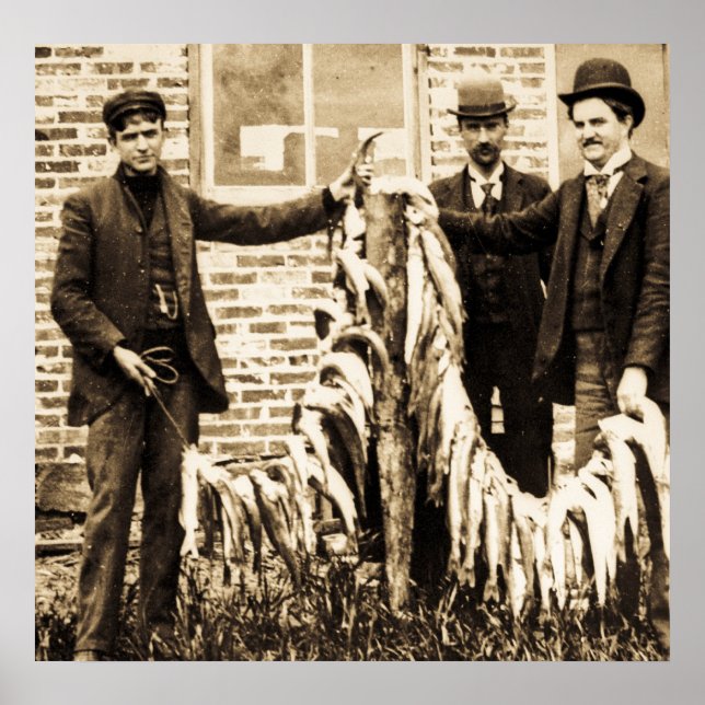 Poster Um Cheio de Peixe Bela Captura para o Dia (Frente)