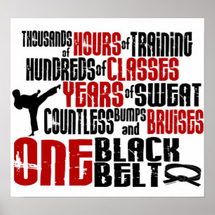 Pôster UM cinturão negro 2