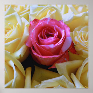 Pôster Um de um amor amável, amarelo original do rosa do