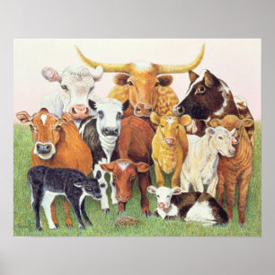 Pôster Um desconhecido de surpresa