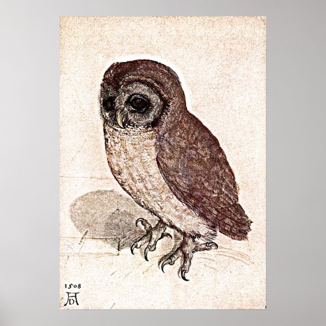 Pôster Um Desenho De 500 Anos (Frente)