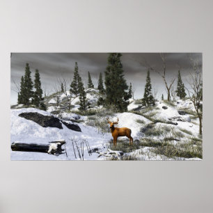 Poster Um dia de inverno